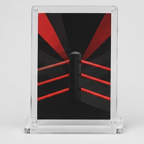 Illustrative wrestling card concept
